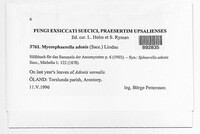 Image Associated With the Occurence